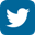 Twitter Icon